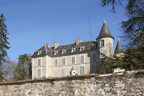 Ramoneur Tharoiseau